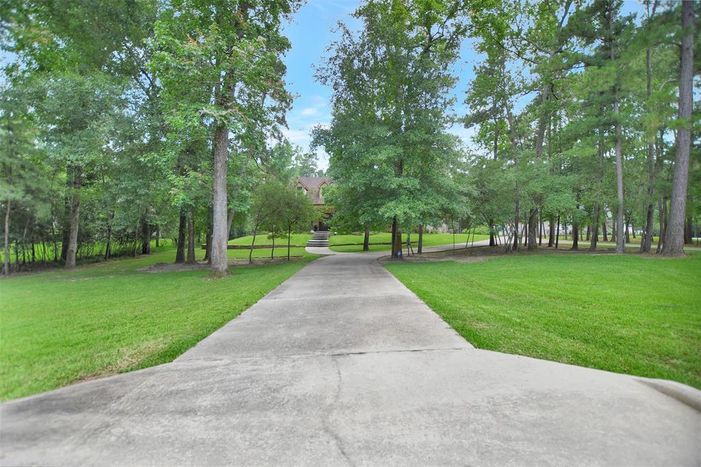 a view of park with tree s