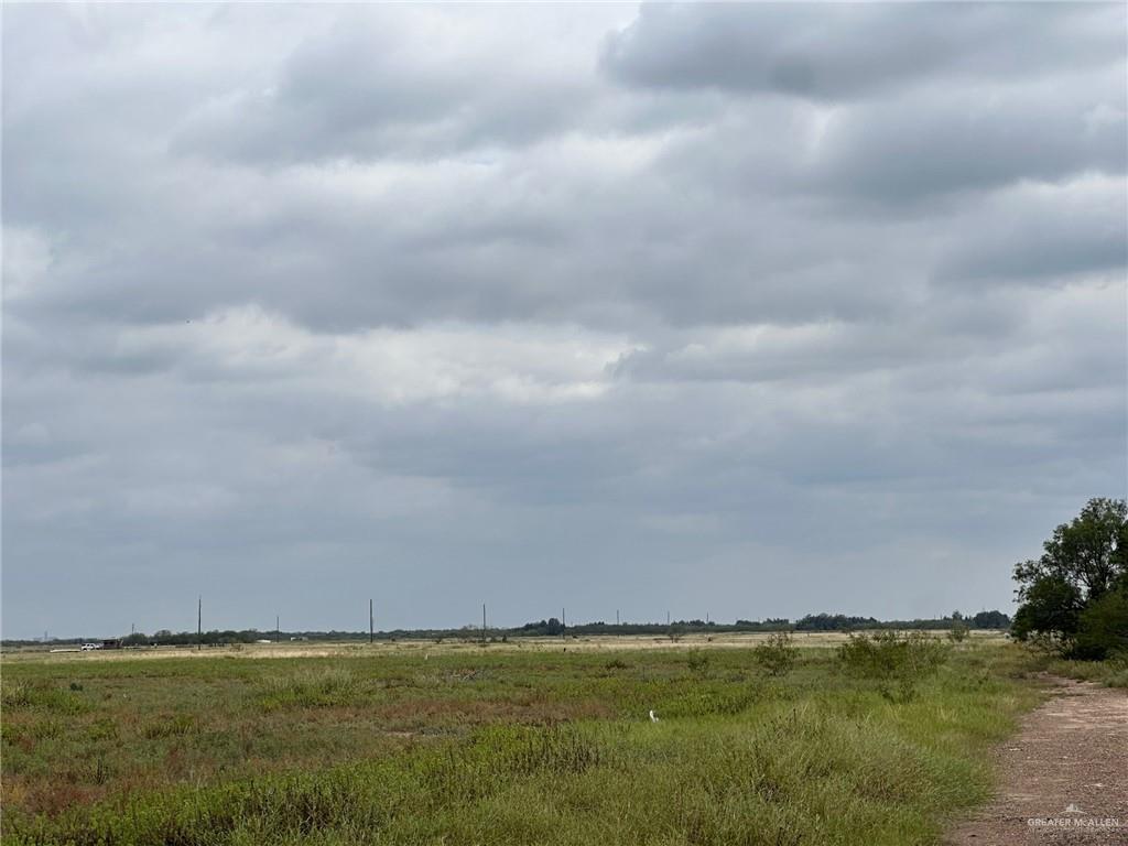 View of local wilderness featuring a rural view