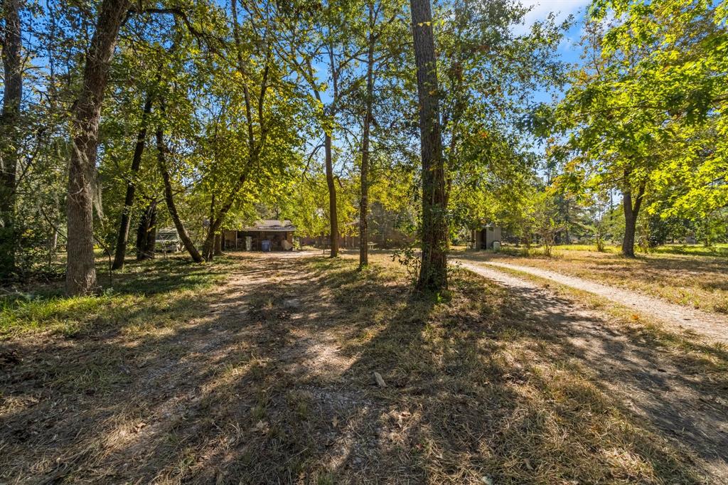 a view of outdoor space with trees