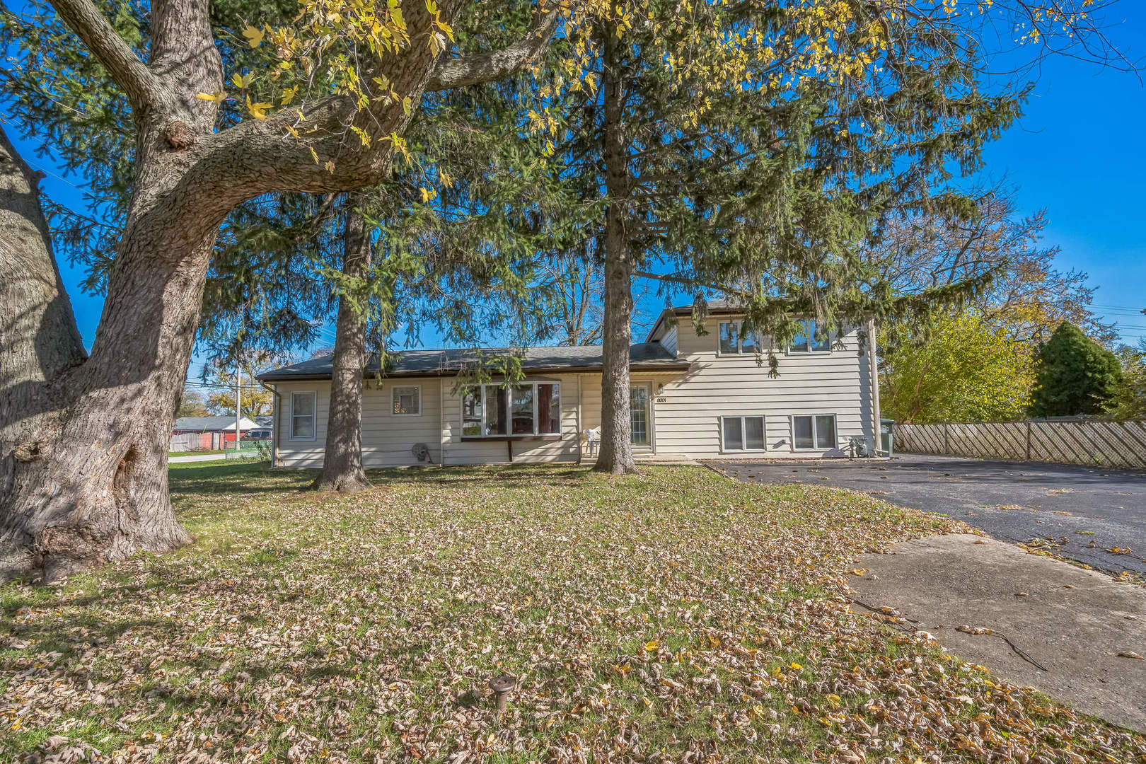 a house that has a tree in front of it