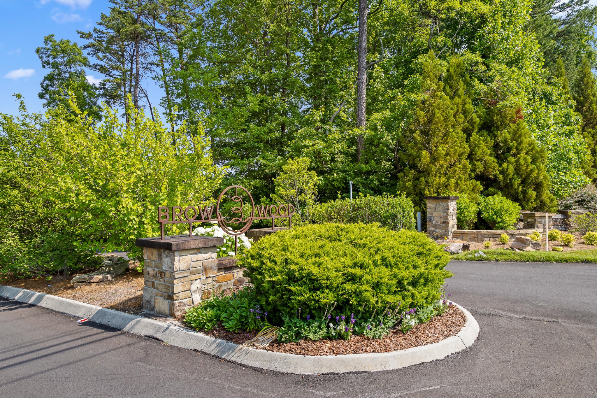 a view of a garden with plants