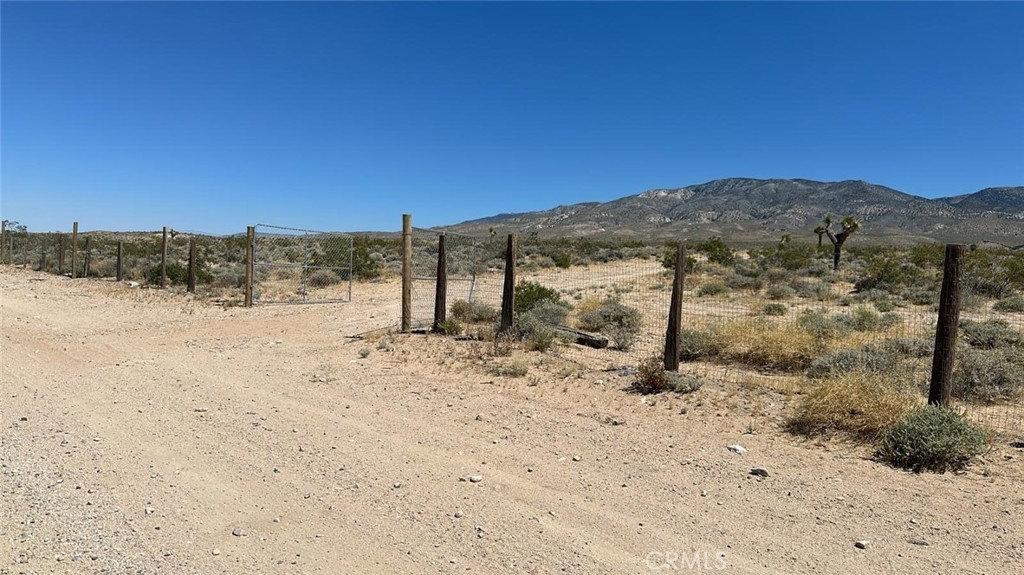 a view of a dry yard with a mountain