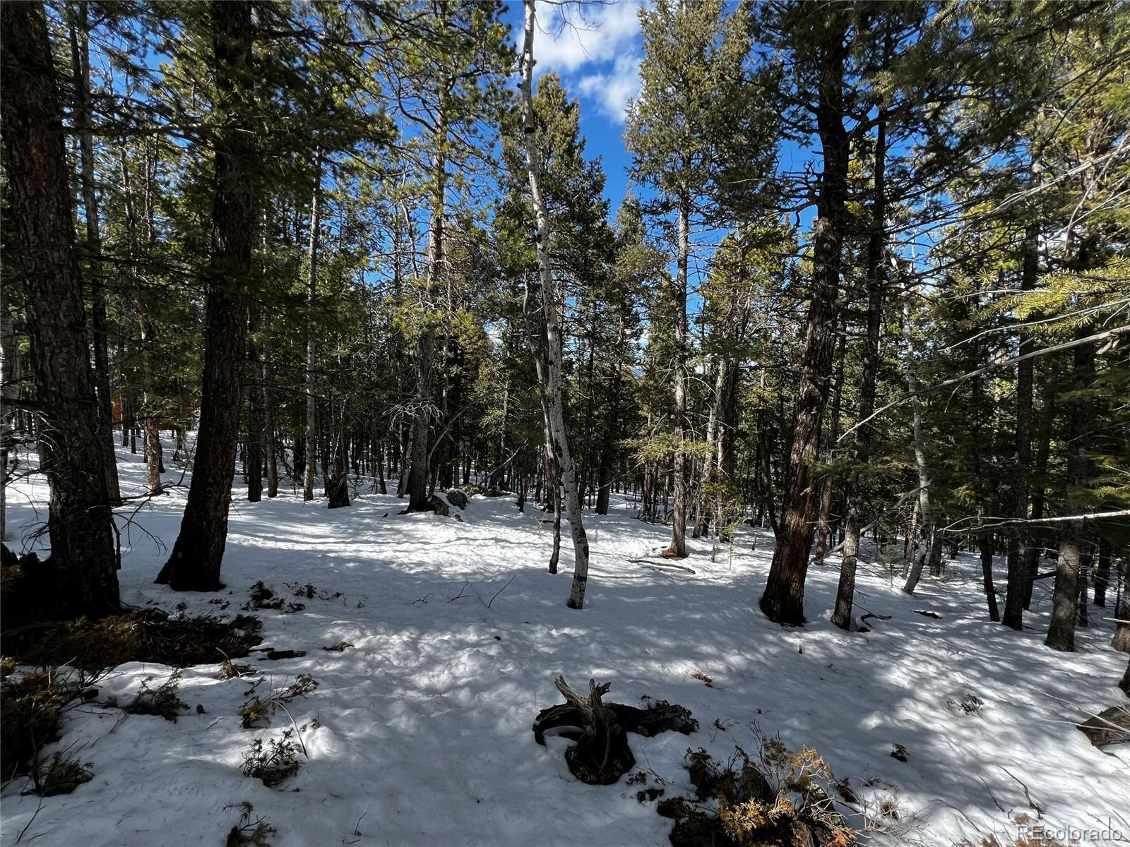 a view of outdoor space with lots of trees