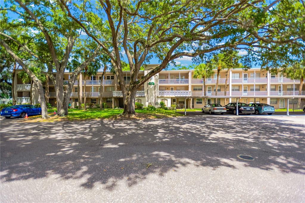 a view of a large trees in front of a building