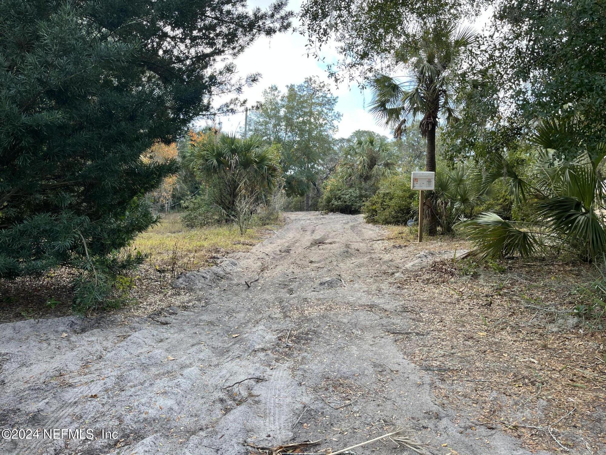 a view of a dirt road with trees in the background