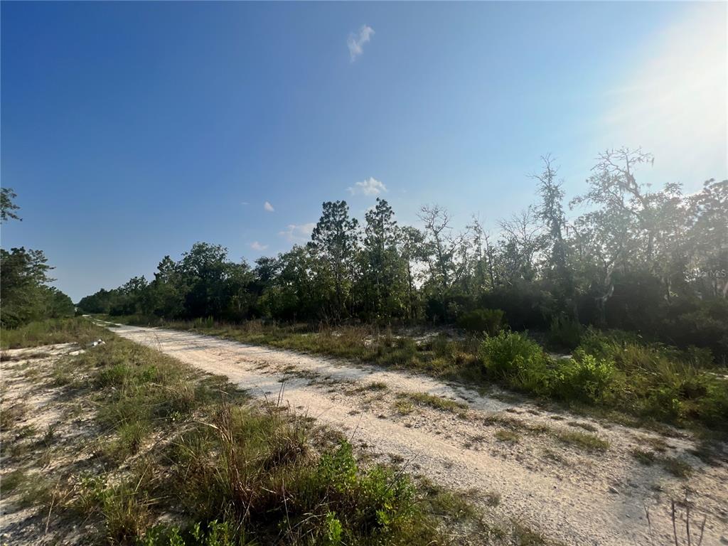 a view of a dirt road with trees