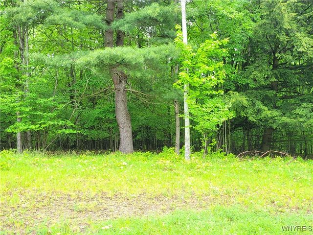 $28,900 | 0 Cr-24 Swain Ny 14884 | Grove