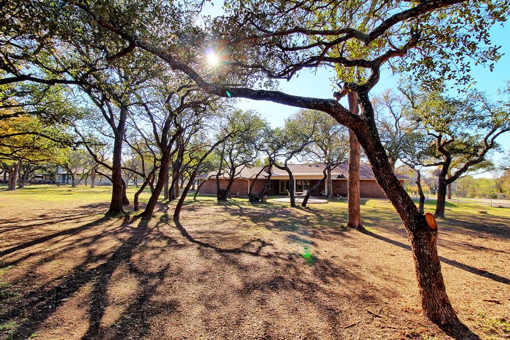 a view of a yard with a tree