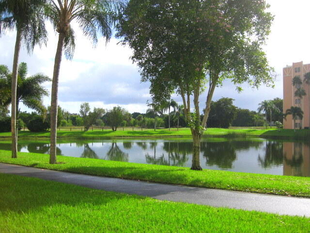 a view of a lake with a palm trees