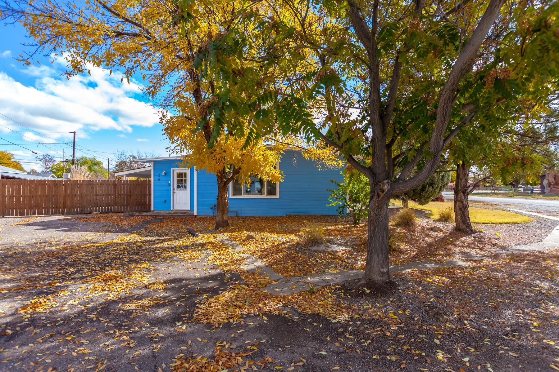 a view of a yard with a tree