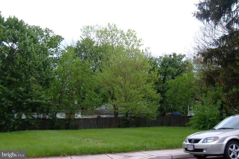 a view of a car parked in the park