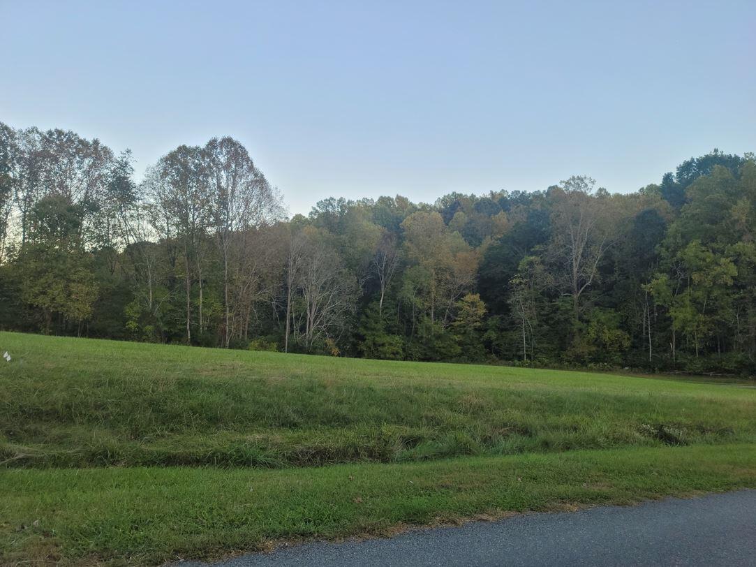 a view of a grassy field