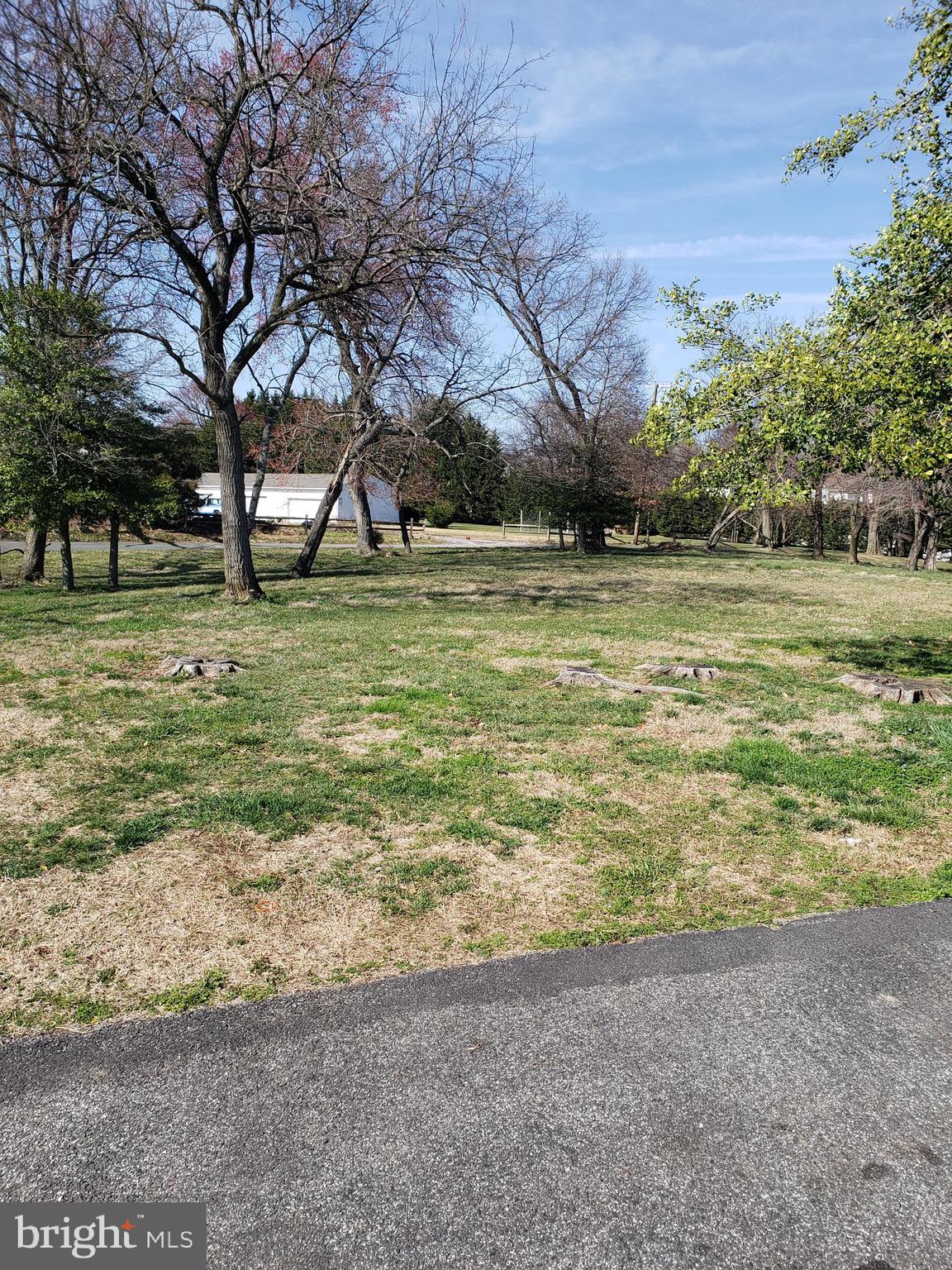 a view of a field with trees