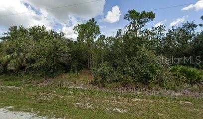 $10,500 | 27182 Mandalay Drive | Tropical Gulf Acres