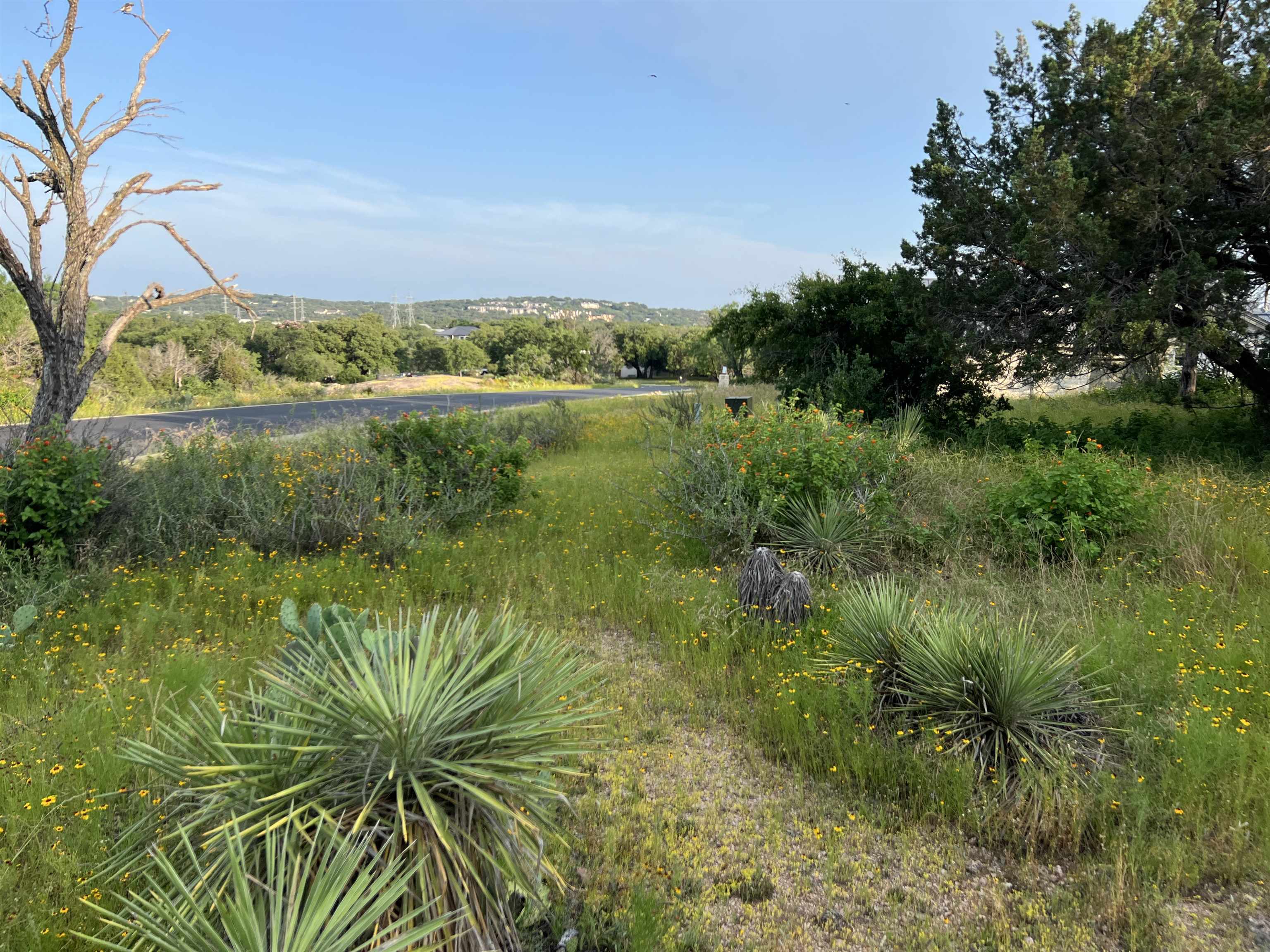 a view of a lake with a yard