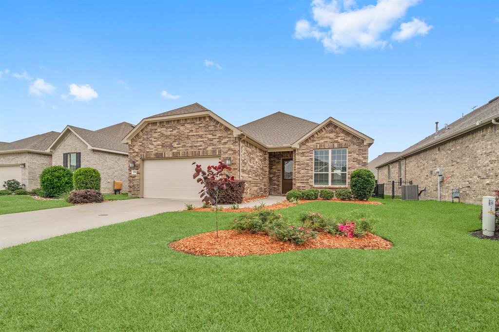 a front view of a house with a big yard and a large tree