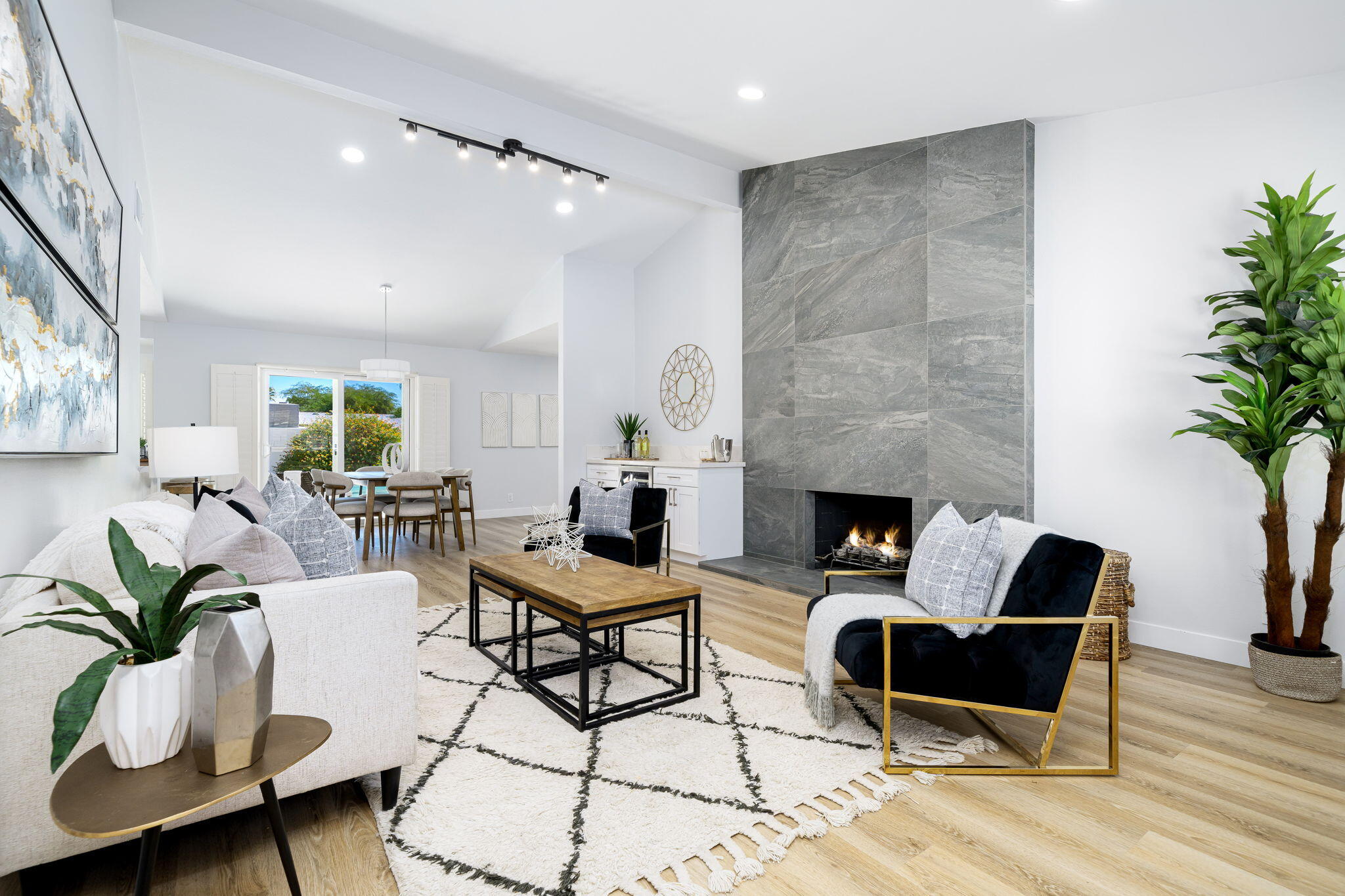 a living room with furniture potted plant and a fireplace