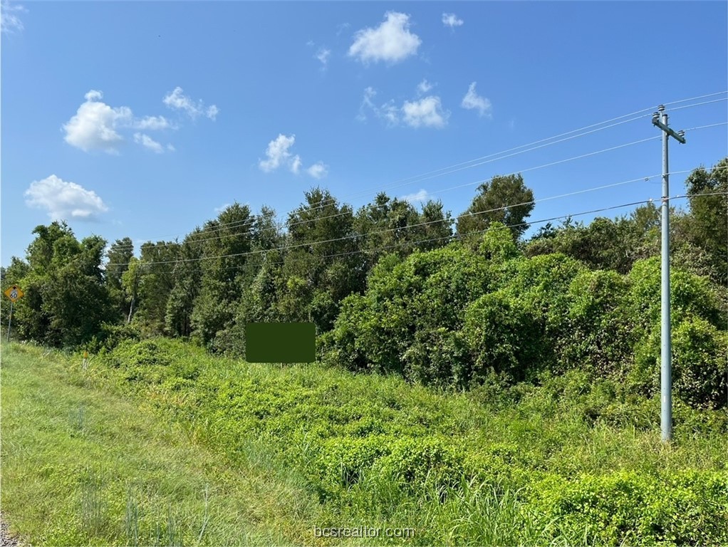 a view of a bunch of trees in background