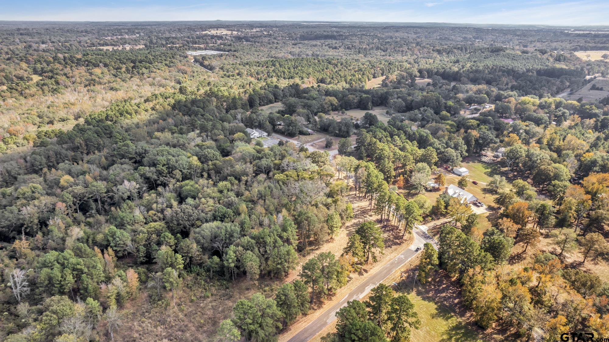 an aerial view of forest