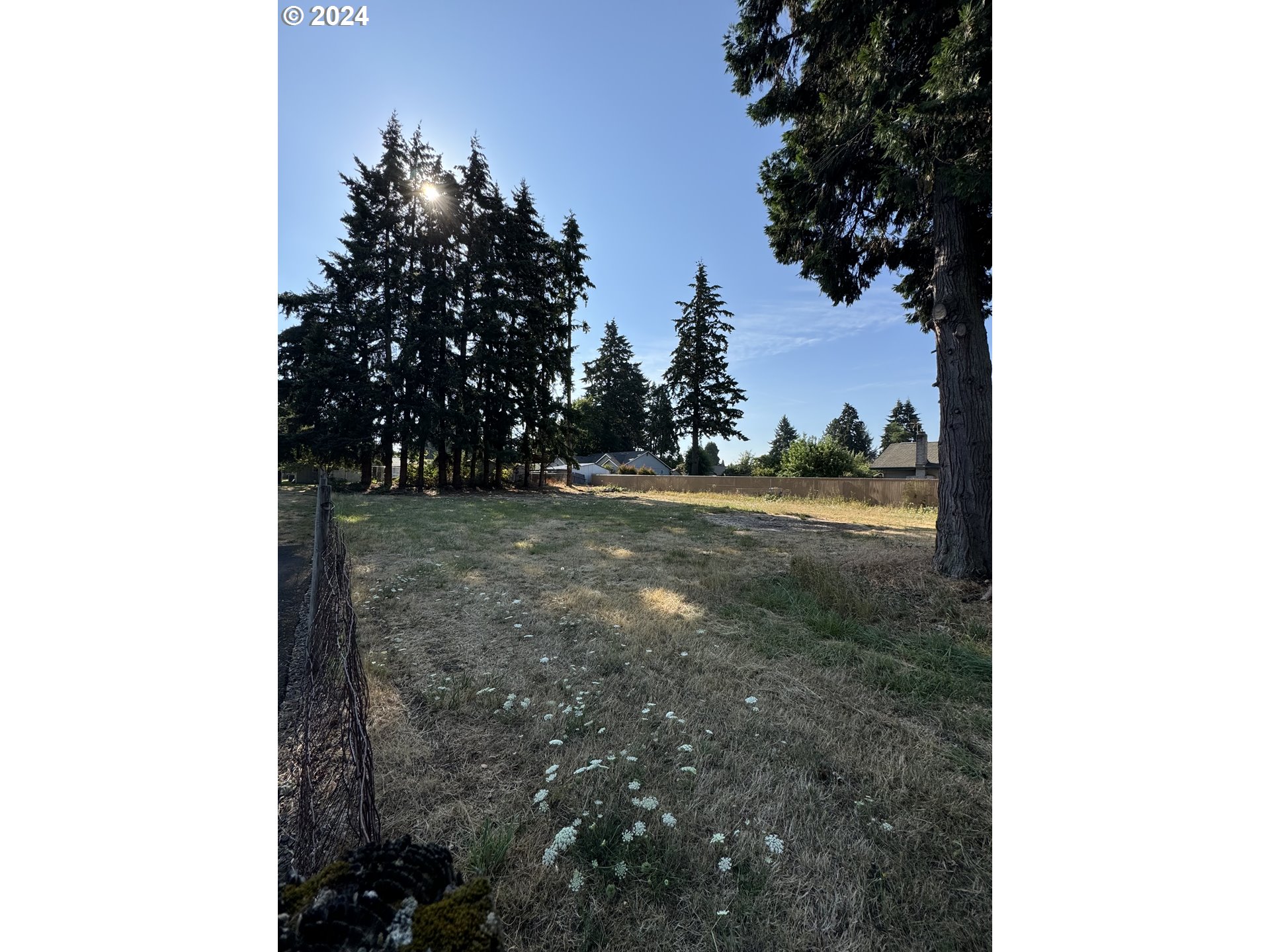 a view of a yard with trees in the background