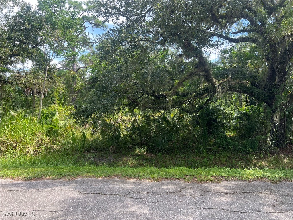 a view of outdoor space and yard