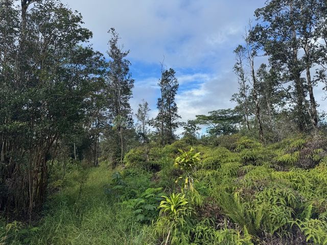 $45,000 | 5751 Road 10 (poouli) Kurtistown Hi 96760 | Hawaiian Acres