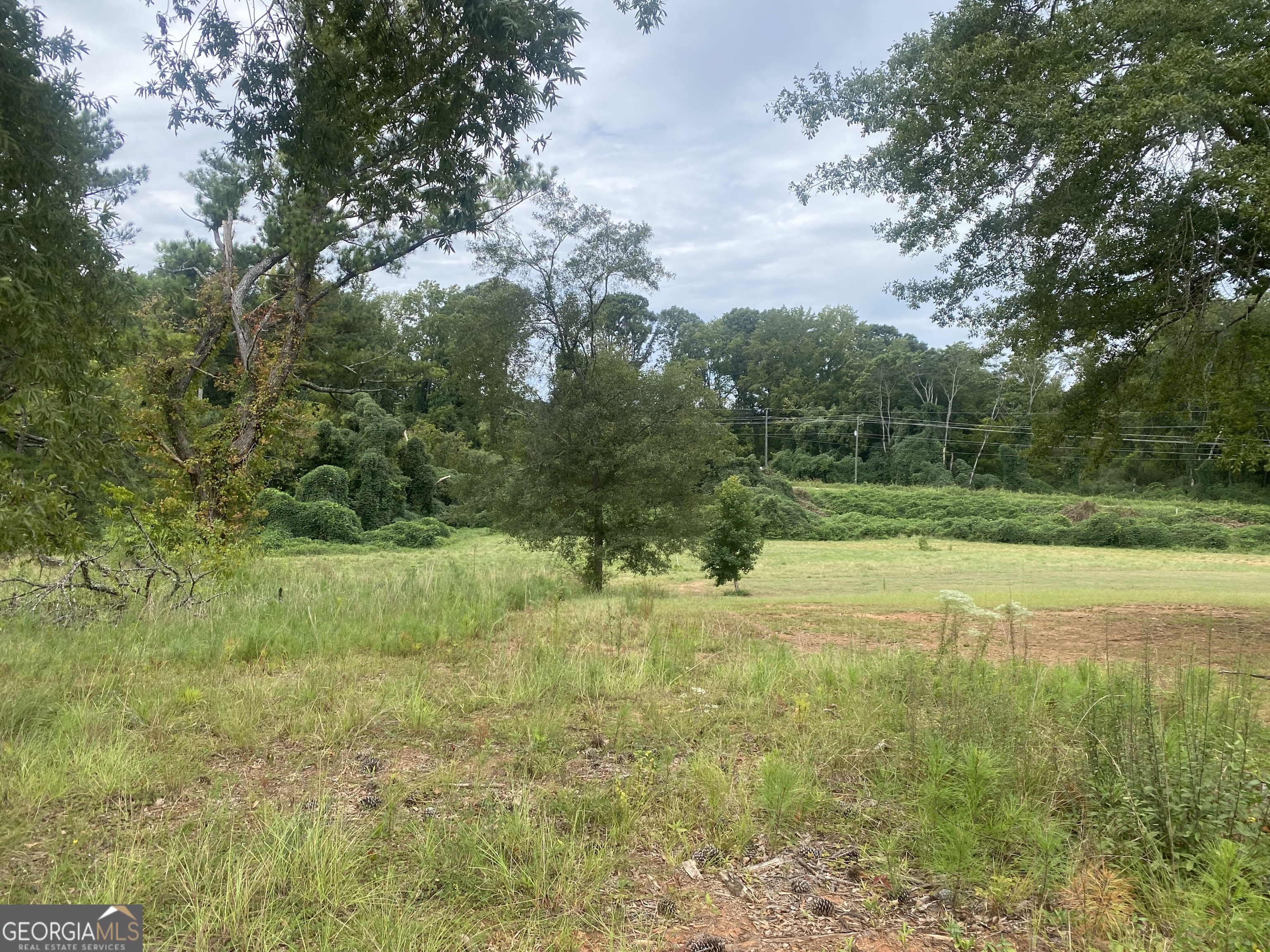 a view of a yard with an trees