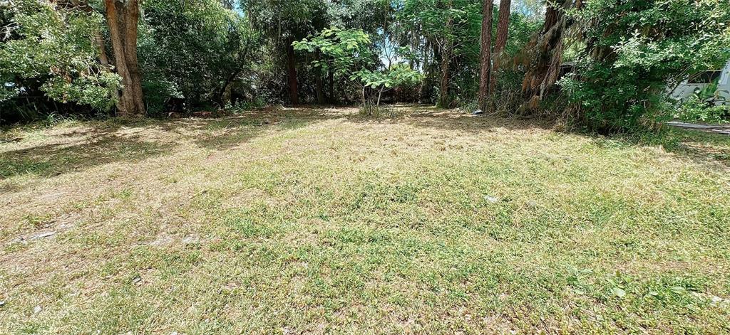 a view of backyard with green space