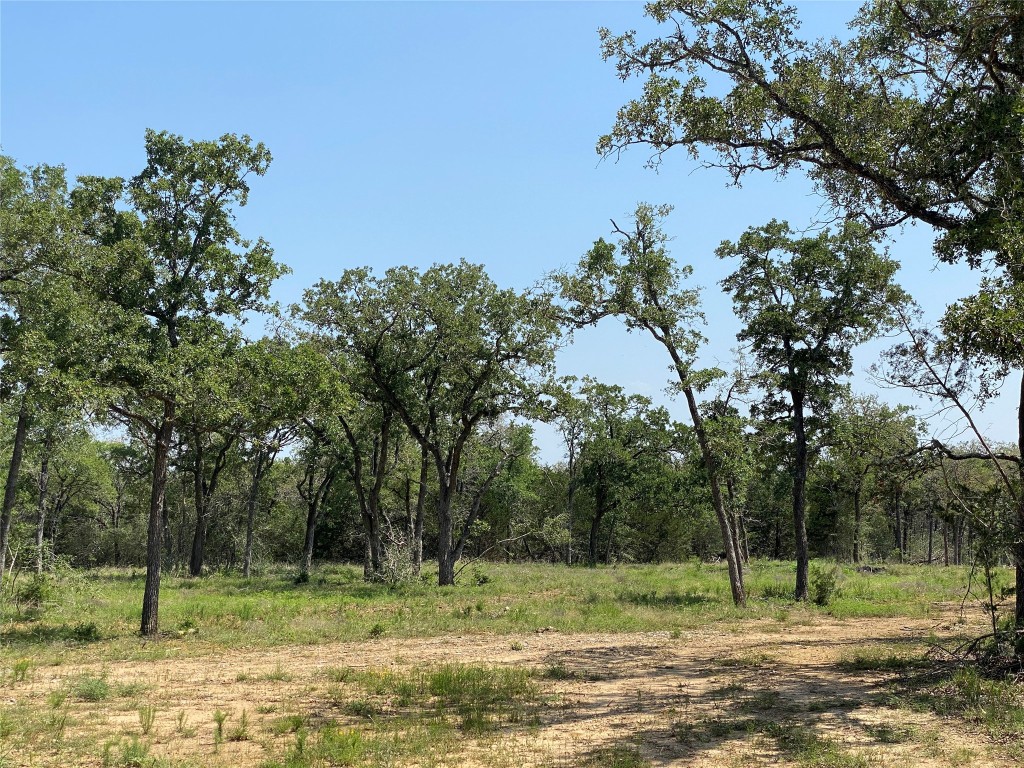 a view of a park