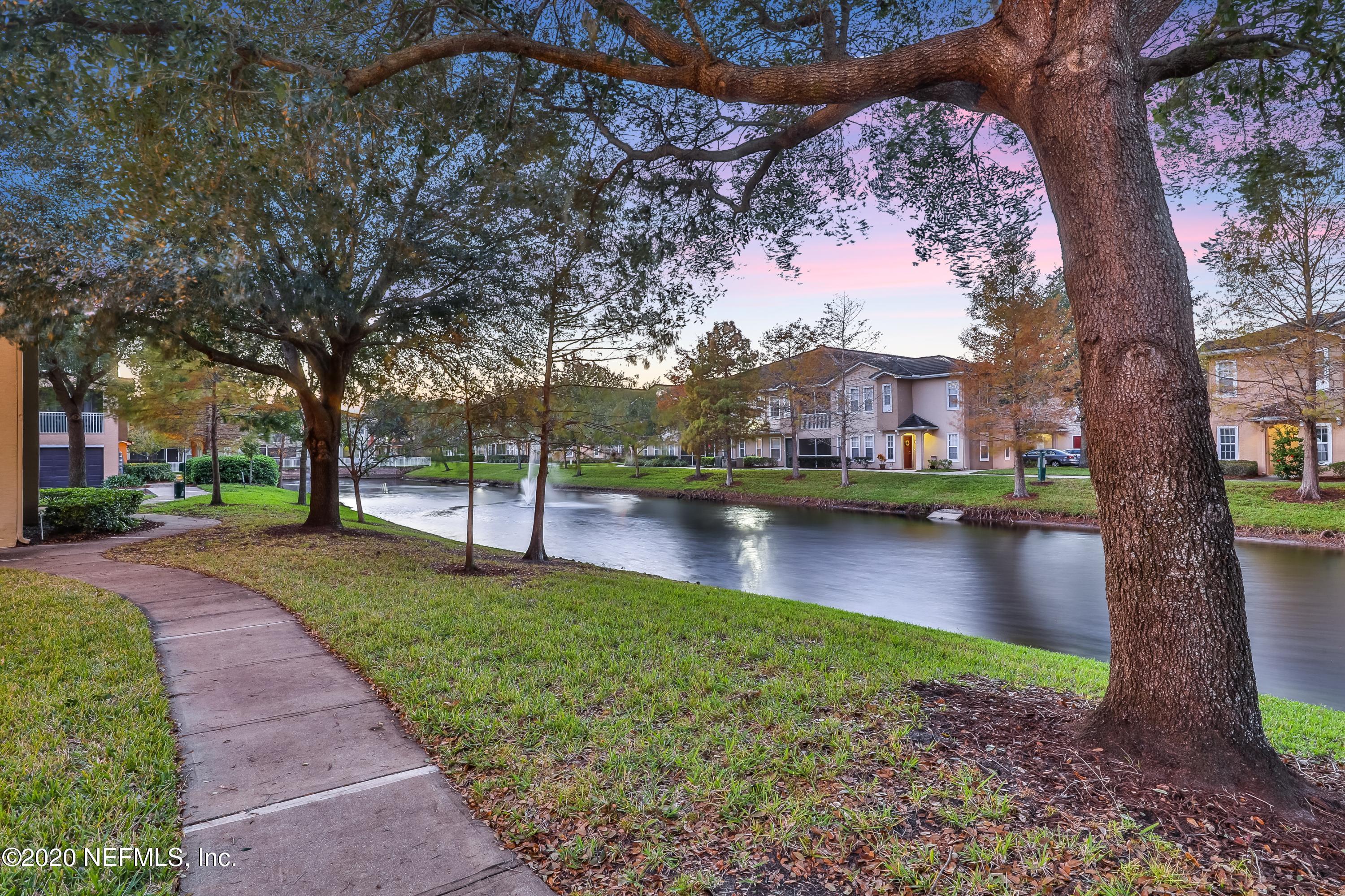 Pond View