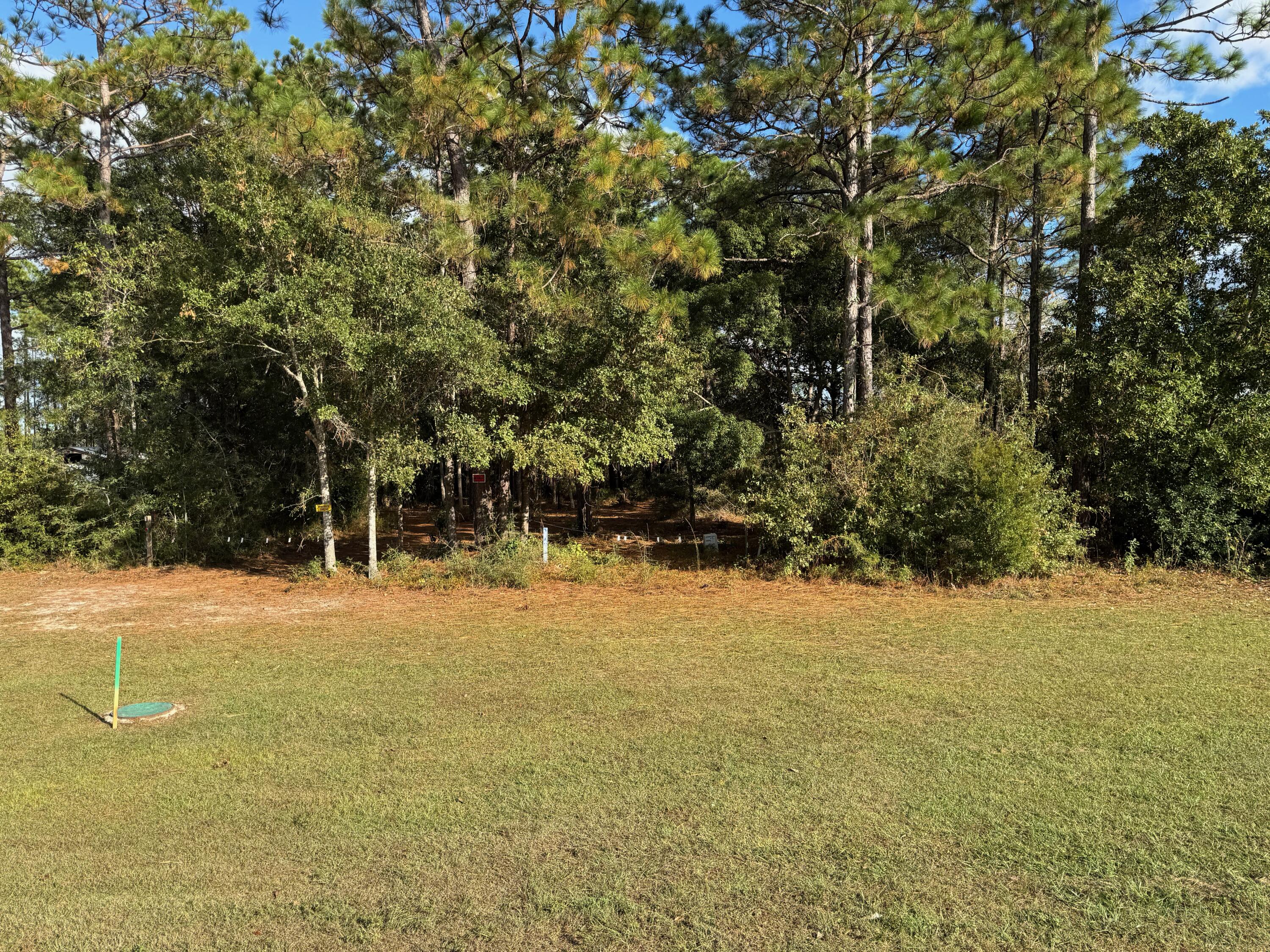 a view of a field with trees in front of it