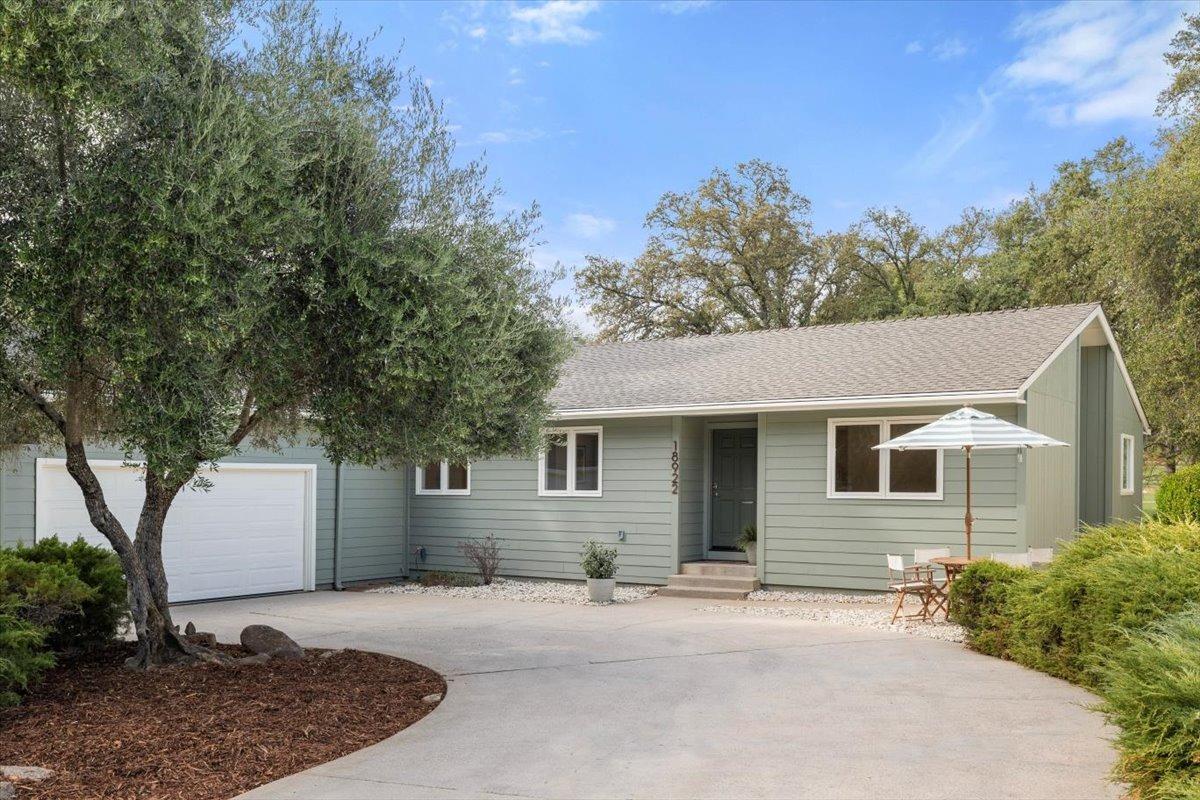 a backyard of a house with plants and trees