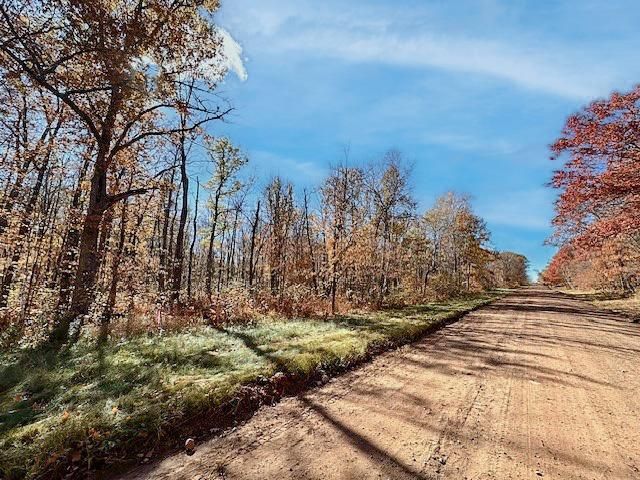 $119,000 | Parcel E Olander Road | Perry Lake Township - Crow Wing County