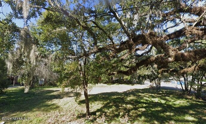 a view of a tree in a yard