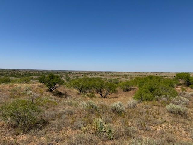 a view of a field with an ocean