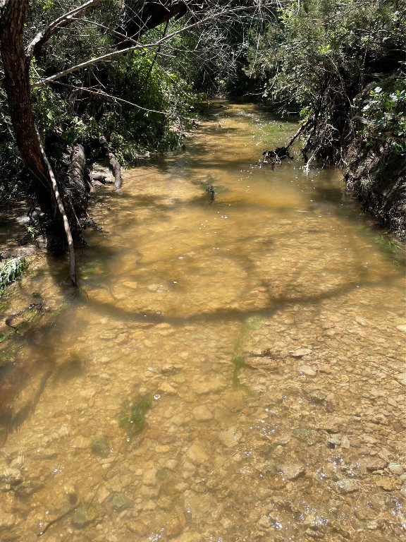 a view of water pool