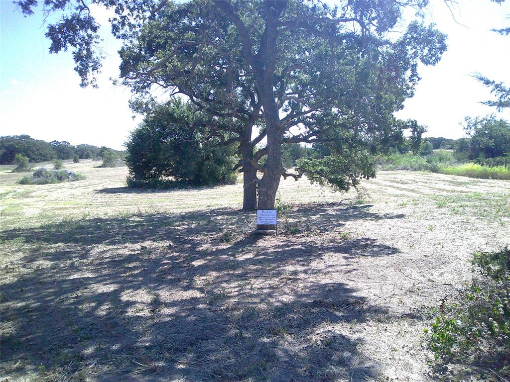 a view of dirt yard with a tree