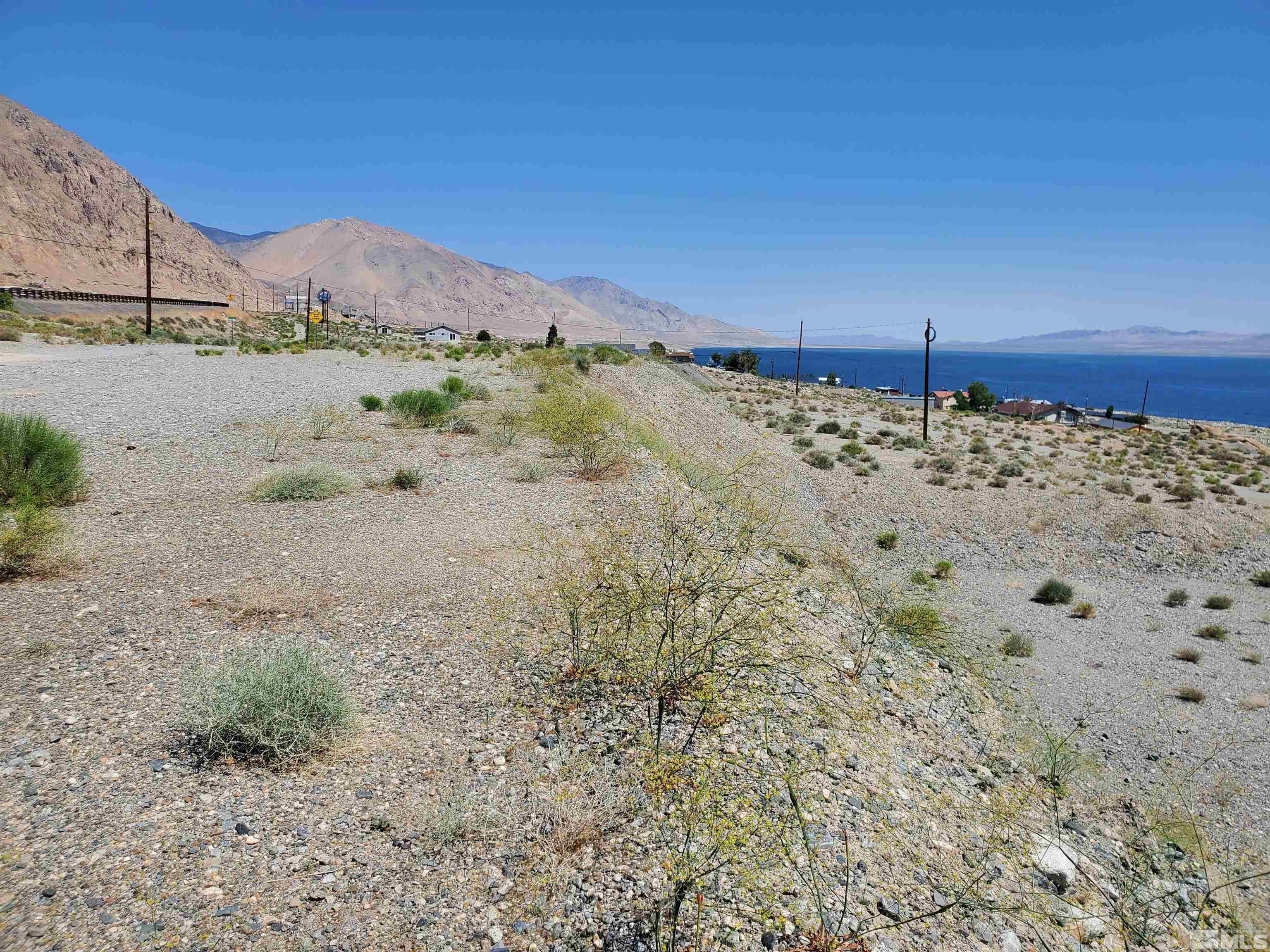 a view of a dry yard with mountains in the background