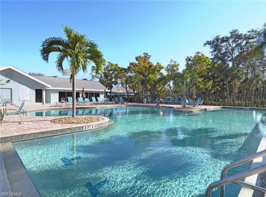 a view of a swimming pool with a garden