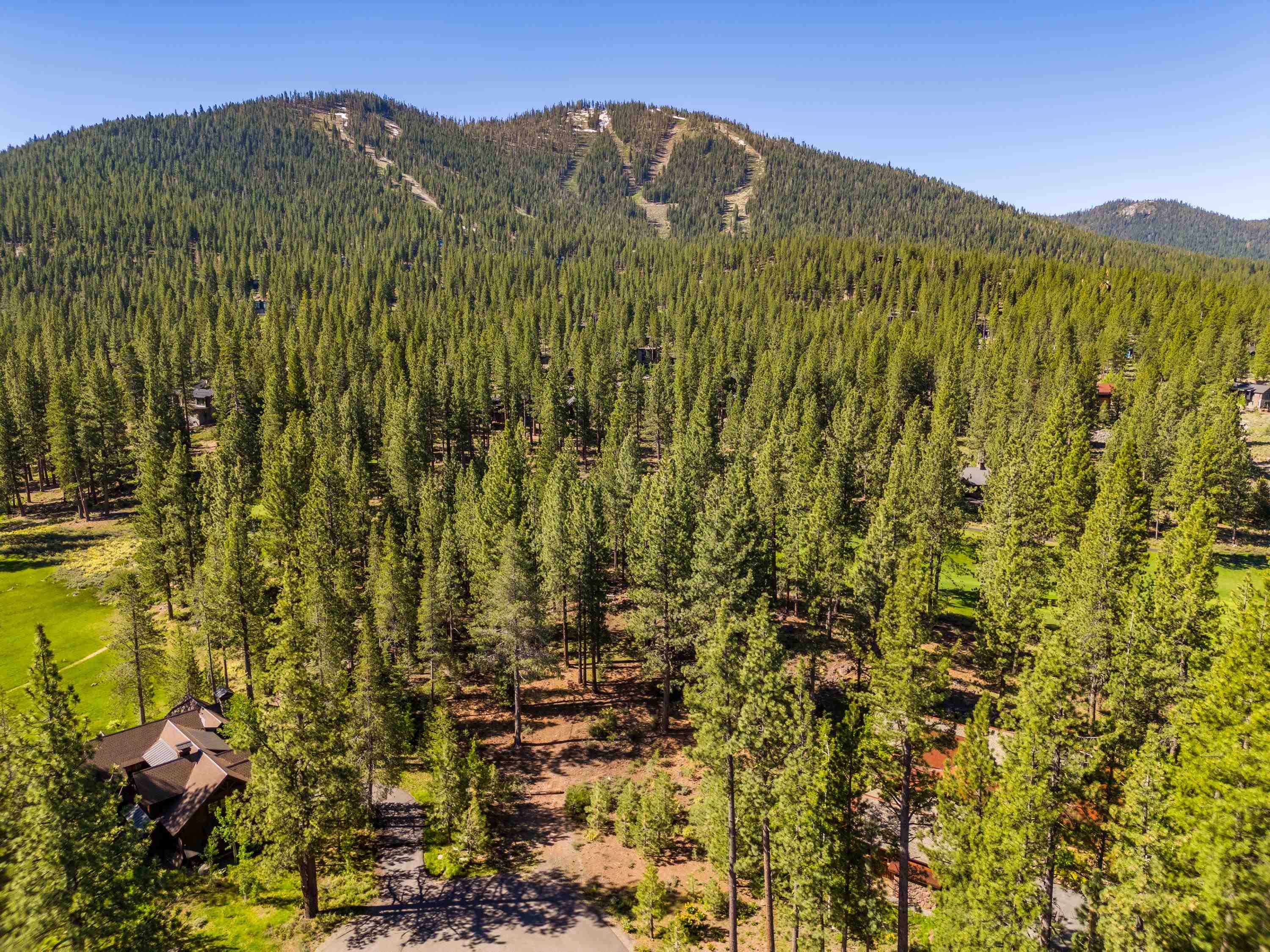 a view of a lush green mountain with a mountain in the background