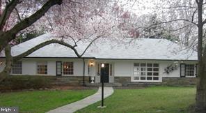 a view of a white house next to a yard with a large tree