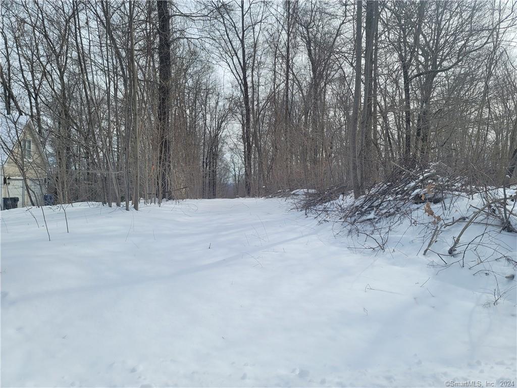 a view of road and trees