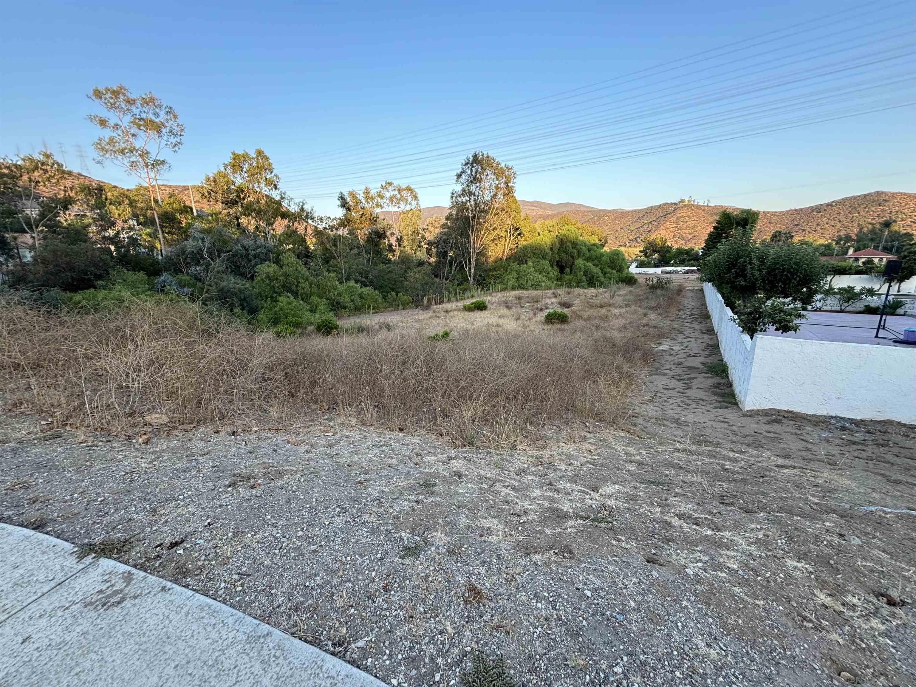 a view of a dry yard with trees