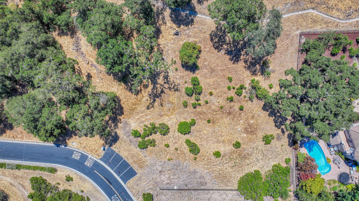 a view of a yard with plants and trees