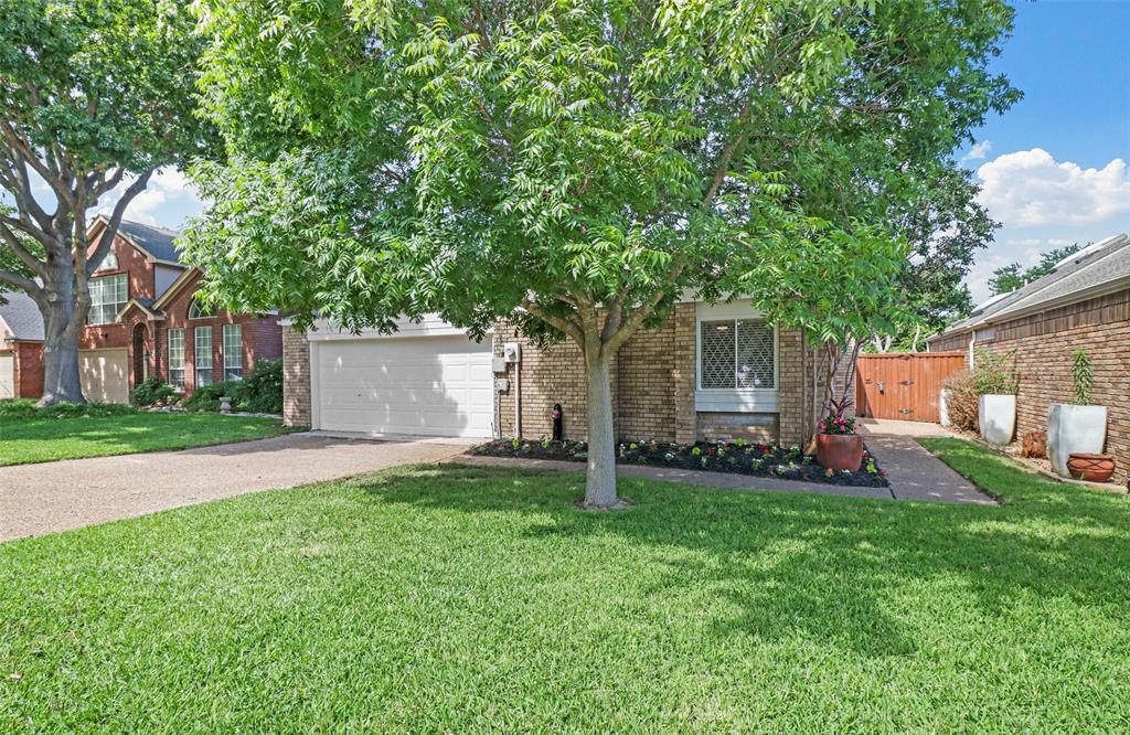 a backyard of a house with table and chairs and a large tree