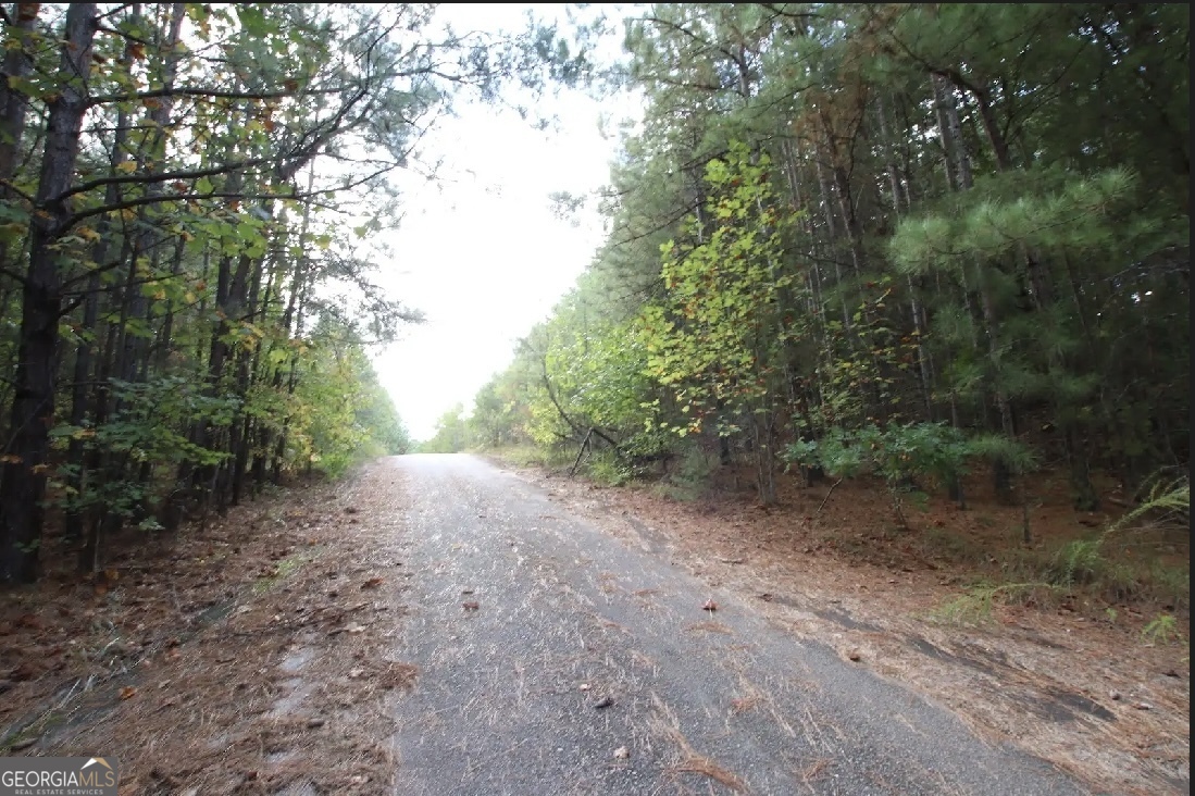 a view of a dirt road with large trees