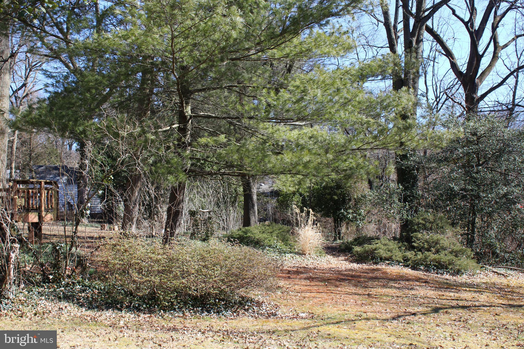 a view of outdoor space with trees