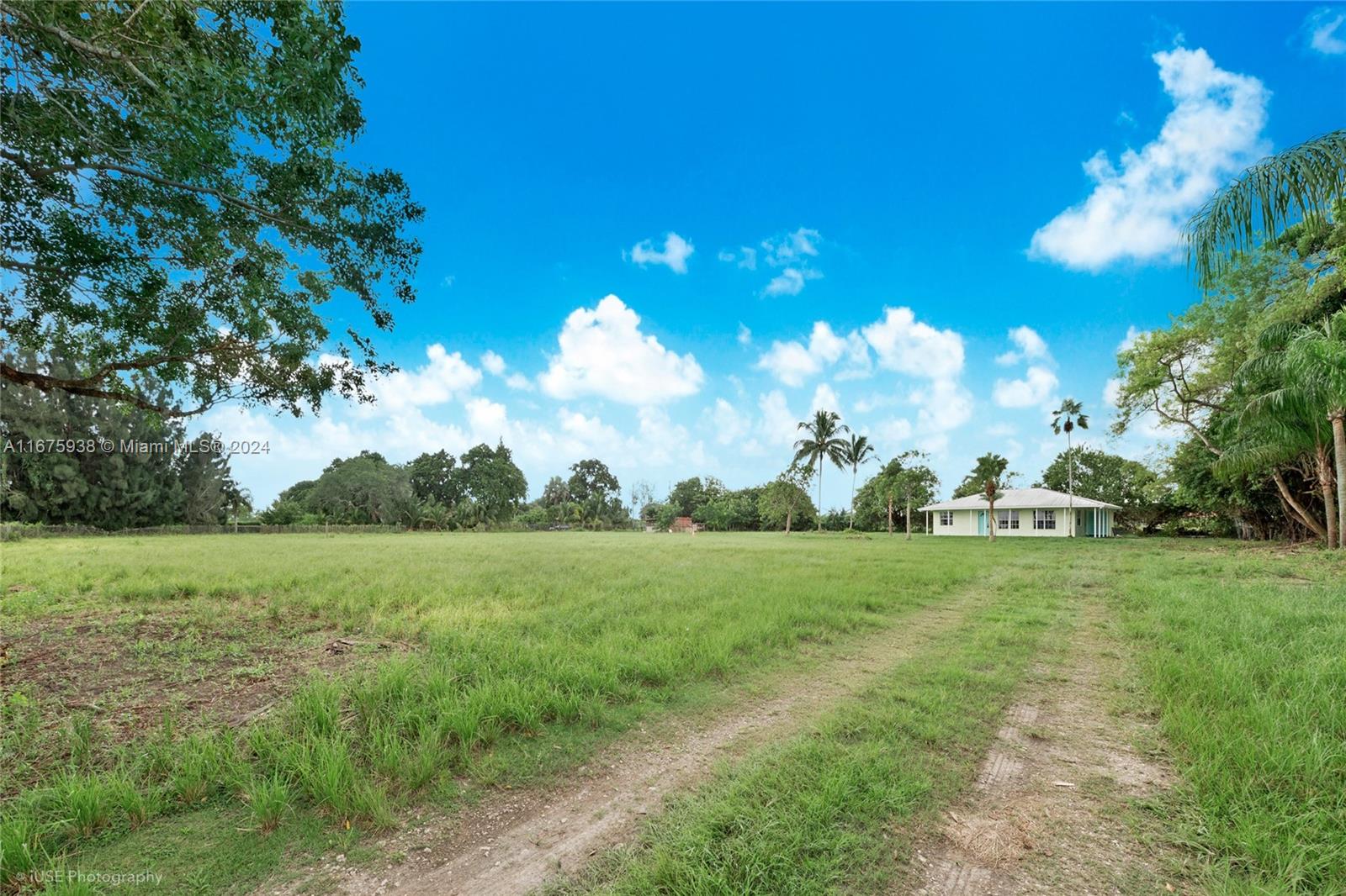 a view of a big yard with lots of green space