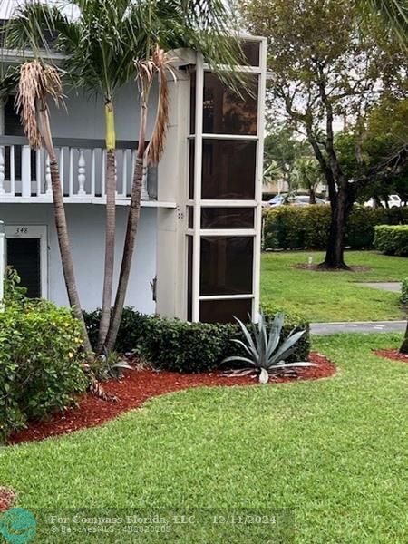 a view of a backyard with potted plants and a large tree