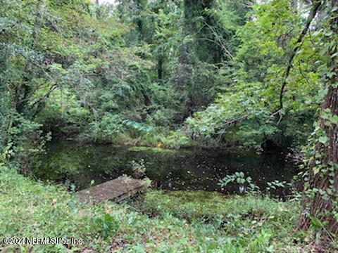 a view of a lush green forest with lots of trees